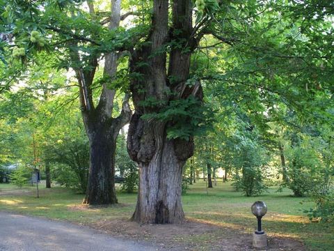 Camping Le Convivial - Camping Dordogne - Image N°14