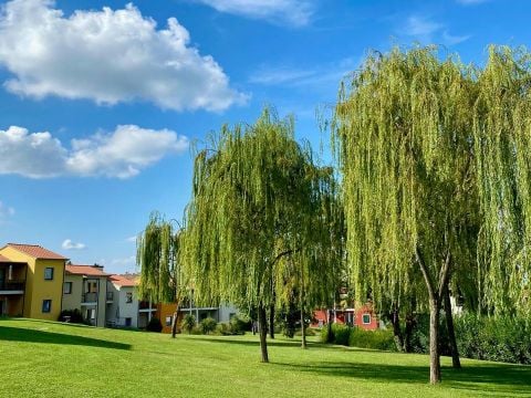 Belvedere Village - Camping Vérone - Image N°15