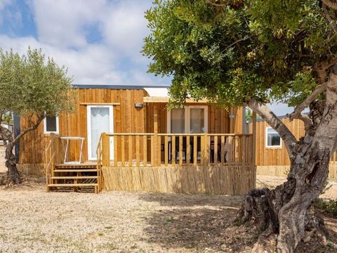 MOBILHOME 6 personnes - CASITA OLIVA 2ch 6pers