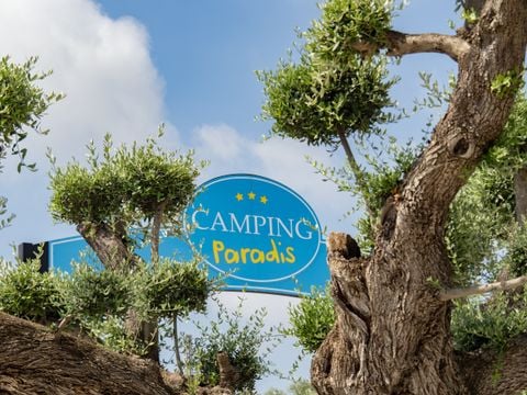 Camping L'Orangeraie - Camping Paradis - Camping Castellón - Image N°5