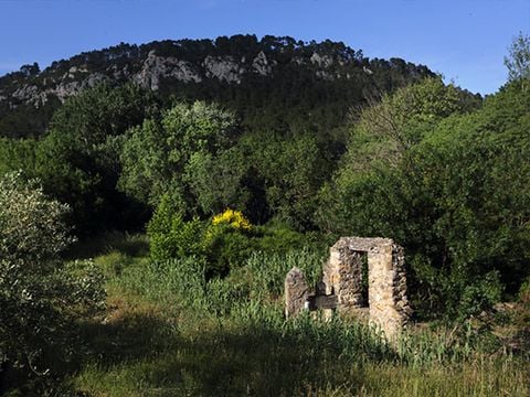 Flower Camping de l'Olivigne - Camping Aude - Image N°23