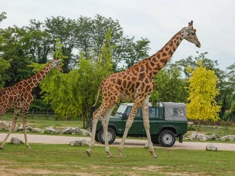 Villenpark Sanghen - Camping Brescia - Image N°24