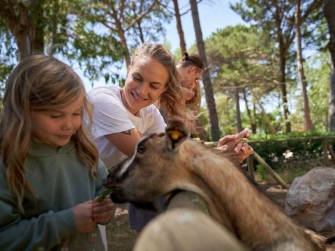 Campo dei Fiori Camping & Bungalows - Camping Livourne - Image N°13