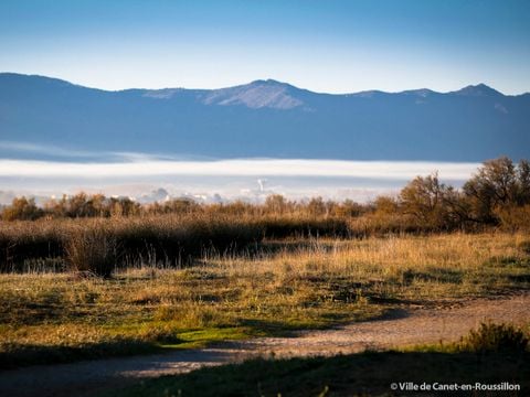 Camping SUNELIA Ma Prairie - Camping Pyrénées-Orientales - Image N°93