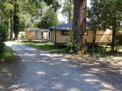 Camping Bois et Toilés - Camping Drome - Image N°7