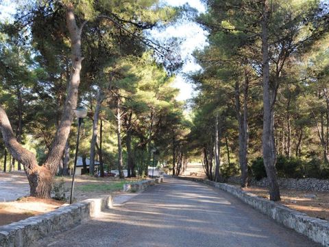 Villaggio Club Santo Stefano - Camping Foggia - Image N°45