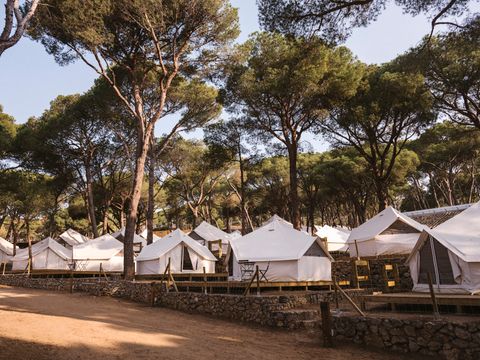 TENTE TOILE ET BOIS 4 personnes - Bell Tent Plus