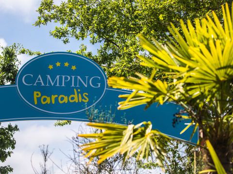 Camping Paradis La Pinède - Camping Alpes-de-Haute-Provence - Image N°3