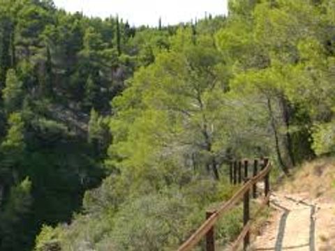 Camping Sites et Paysages - La Pinède - Camping Aude - Image N°23