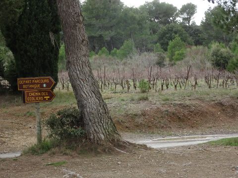 Camping Sites et Paysages - La Pinède - Camping Aude - Image N°21