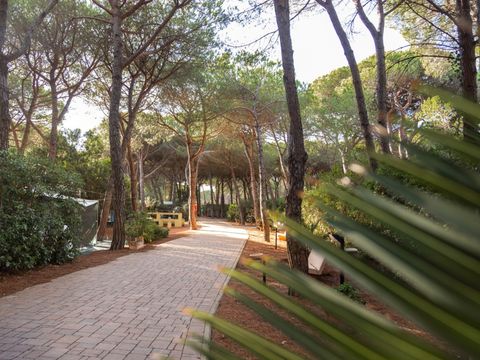 Camping Village Il Sole - Camping Grosseto - Image N°34