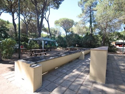 Camping Village Il Sole - Camping Grosseto - Image N°13