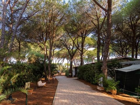 Camping Village Il Sole - Camping Grosseto - Image N°23