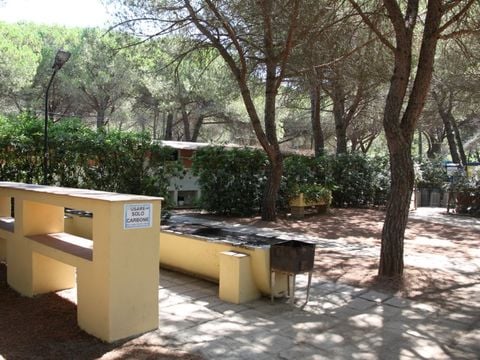 Camping Village Il Sole - Camping Grosseto - Image N°12