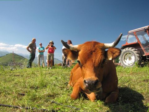 Résidence Le Hameau des Aiguilles - Camping Savoie - Image N°13