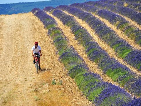 VVF Villages Drôme Provence - Camping Drome - Image N°8