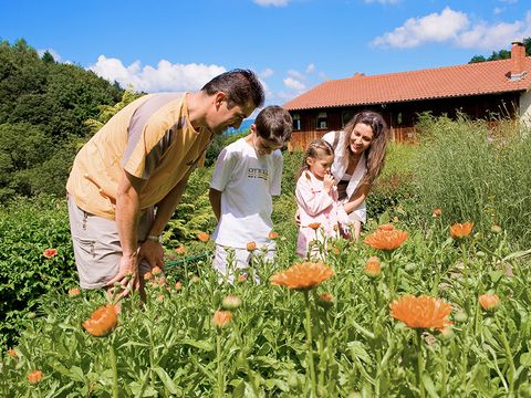 Résidence Fournols d'Auvergne - Camping Puy-de-Dome - Image N°46