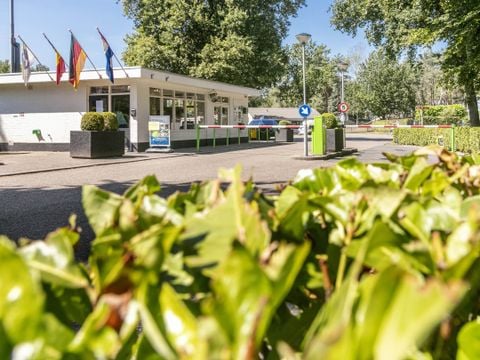 Vakantiepark de Bergen - Camping Brabant-du-Nord - Image N°28