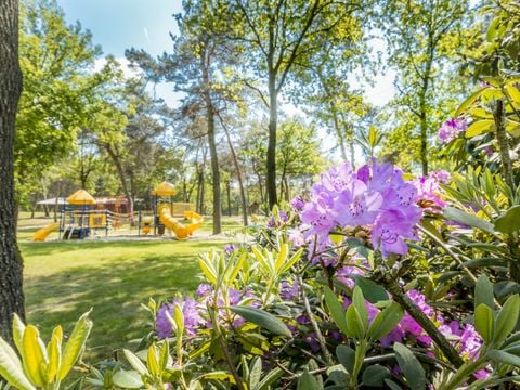 Vakantiepark de Bergen - Camping Brabant-du-Nord - Image N°48