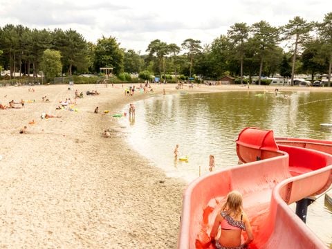 Vakantiepark de Bergen - Camping Brabant-du-Nord - Image N°80