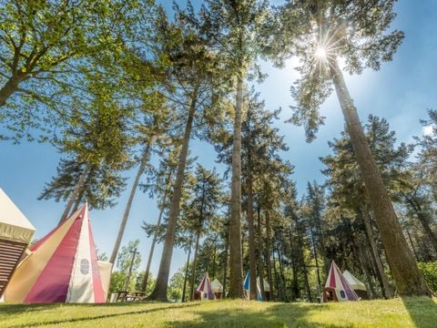 Vakantiepark de Bergen - Camping Brabant-du-Nord - Image N°41