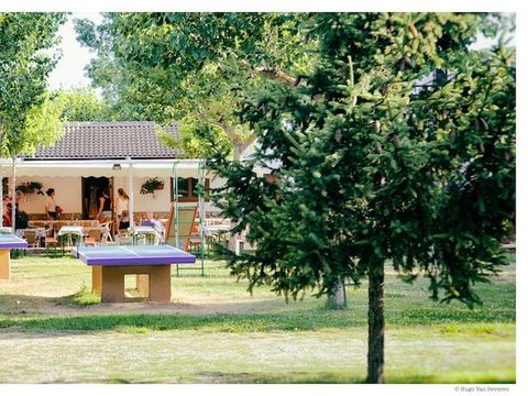 Camping Bungalowpark Isabena - Camping Huesca - Image N°11