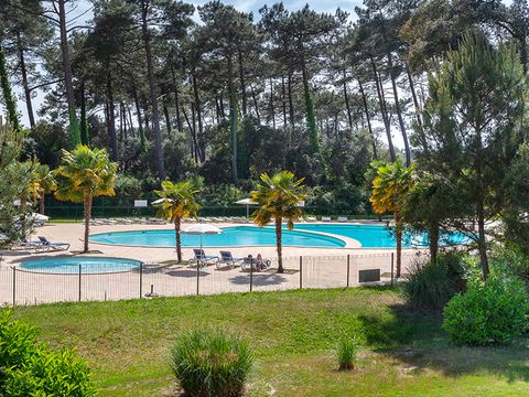 Résidence L'Allée des Dunes - Camping Landes - Afbeelding N°2