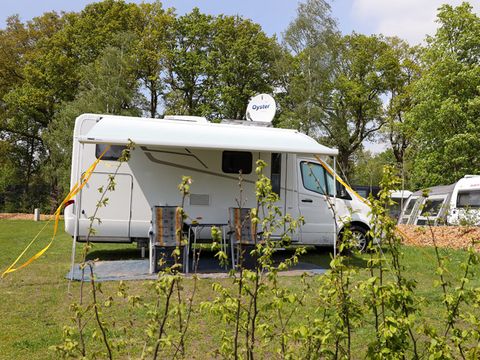 Vakantiepark Sallandshoeve - Camping Raalte - Image N°130