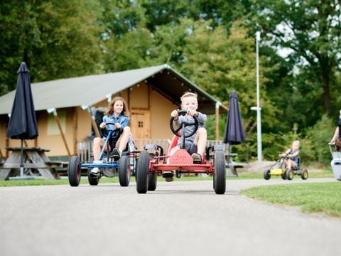 Vakantiepark Sallandshoeve - Camping Raalte - Image N°8