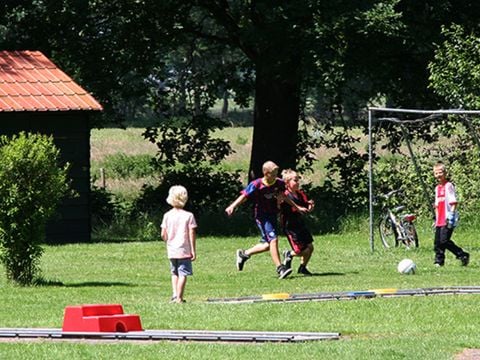 Vakantiepark Sallandshoeve - Camping Raalte - Image N°28