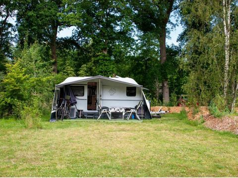 Vakantiepark Sallandshoeve - Camping Raalte - Image N°122