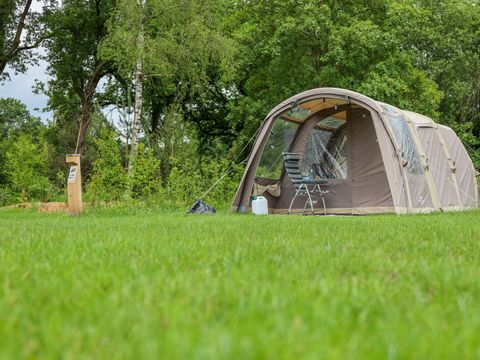 Vakantiepark Sallandshoeve - Camping Raalte - Image N°119