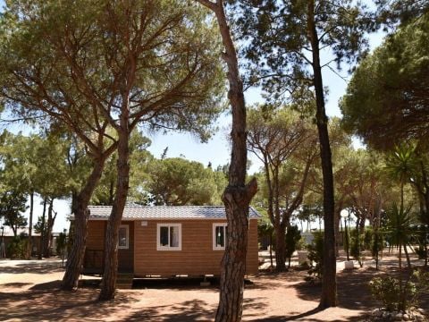 Camping Taiga Conil - Camping Cadix - Image N°40