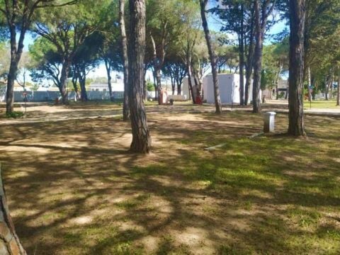 Camping Taiga Conil - Camping Cadix - Image N°39