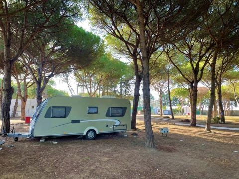 Camping Taiga Conil - Camping Cadix - Image N°38