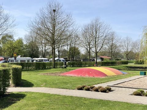 Camping Betuwe - Camping Neder-Betuwe - Image N°13