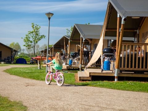 Camping Betuwestrand - Camping West-Betuwe - Image N°9