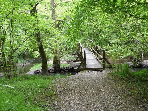 Camping La Saline - Camping Doubs - Image N°26