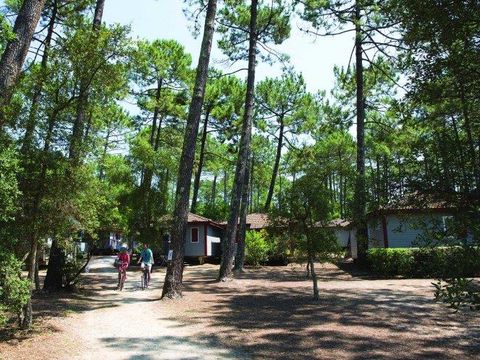  Village Vacances Moliets - Camping Landes - Image N°8