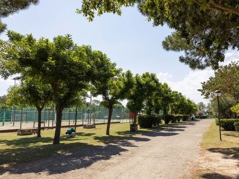 Residence Mare Pineta - Camping Ravenna - Image N°8