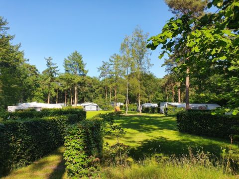 Camping het Horstmansbos - Camping Aa en Hunze - Image N°44