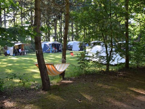 Camping het Horstmansbos - Camping Aa en Hunze - Image N°7