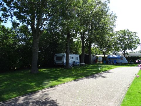 Camping de Hof van Eeden - Camping Leiden - Afbeelding N°5