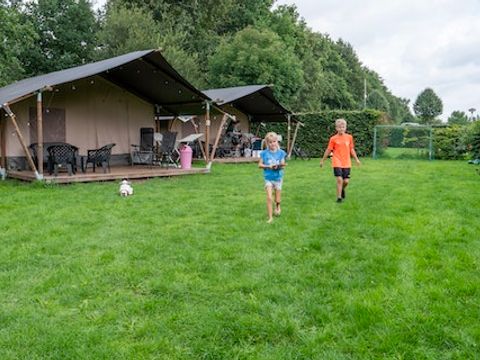 Camping Emmen - Camping Drenthe - Image N°17