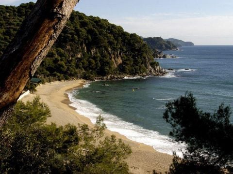 Camping Lloret Blau - Camping Gérone - Image N°56