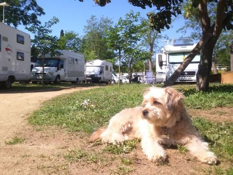 Camping Lloret Blau - Camping Gérone - Image N°34