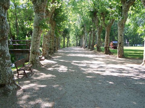 Camping Village Chalets D'Objat - Camping Corrèze - Image N°11