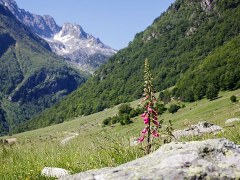 Camping du Lac Mercus - Camping Ariege - Image N°44