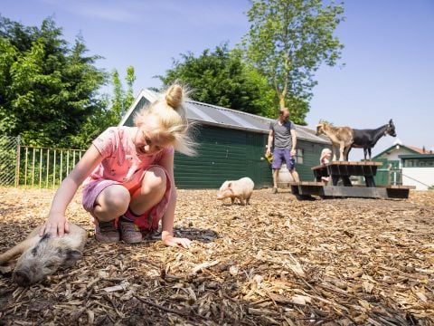 Marvilla Parks Friese Meren - Camping Friesische Seen - Image N°13