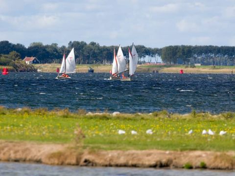 Roompot Harbour Village - Camping Middelburg - Image N°5